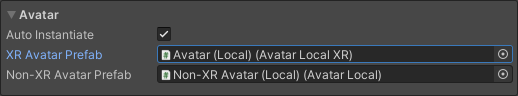 Avatar settings displaying auto instantiate options